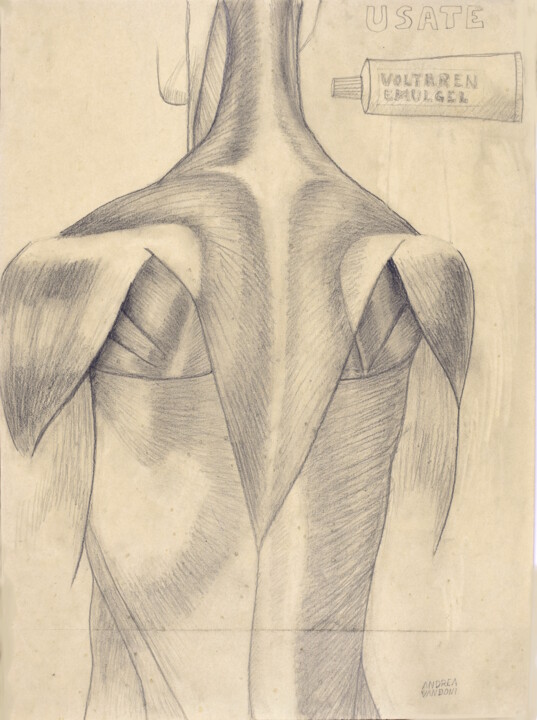 Zeichnungen mit dem Titel "MUSCLES" von Andrea Vandoni, Original-Kunstwerk, Graphit