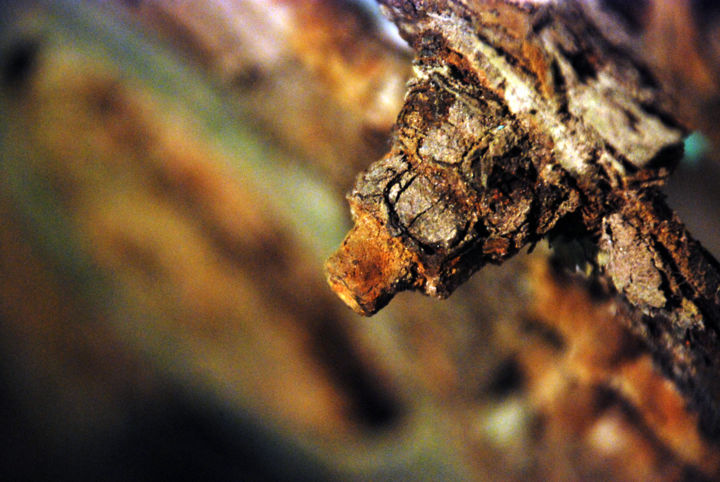 Fotografia intitulada "Oxidação" por André Amaral, Obras de arte originais,