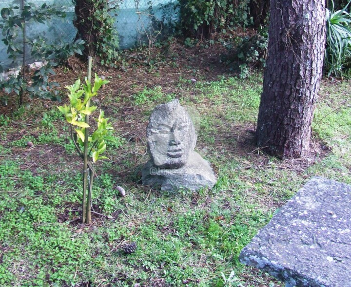 Sculpture titled "Indian" by André Da Luz (luxbridge), Original Artwork, Stone