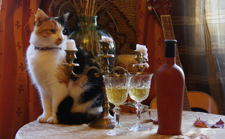 Photographie intitulée "Cat and two glasses" par Andrei Autumn, Œuvre d'art originale, Photographie numérique
