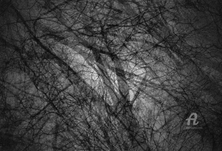Photography titled "Branches" by Andreï Barinoff, Original Artwork, Analog photography