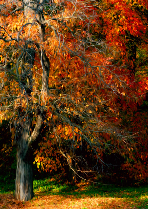 Фотография под названием "Осенняя сказка" - Andrey Petrosyan, Подлинное произведение искусства, Цифровая фотография