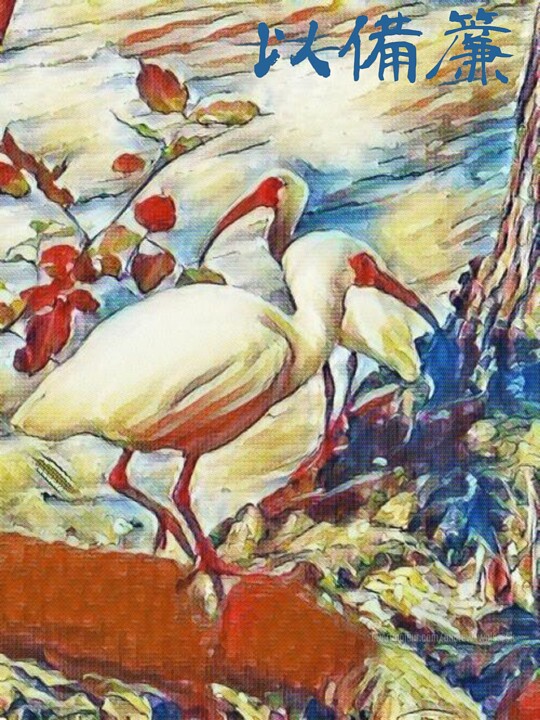 Digital Arts titled "Imperial River Ibis…" by Andrew Walaszek, Original Artwork, Digital Painting