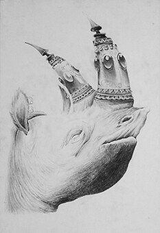 Рисунок под названием "Rinoceronte" - Andrew White, Подлинное произведение искусства
