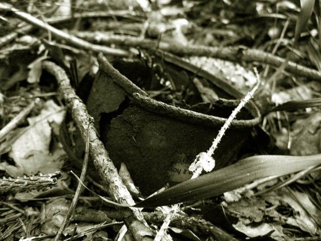 Photography titled "Can 4 (scrapyard se…" by Andrew Dokoupil, Original Art,