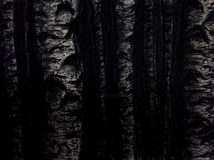 Dessin intitulée "Birches at Dawn (..…" par Andrew Hanzhuo Zhang, Œuvre d'art originale, Fusain
