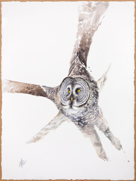 Картина под названием "Great Grey Owl" - Andrzej Rabiega, Подлинное произведение искусства, Акварель