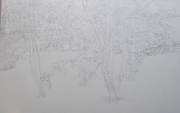 Drawing titled "Au jardin d'Henri" by Andy Hudson, Original Artwork, Pencil