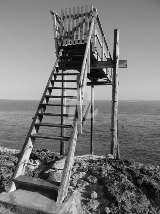 Photographie intitulée "carrelet disparu" par Anesofie Créations, Œuvre d'art originale