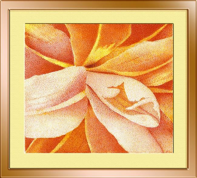 flores e cores - Design, 24x20 cm ©2008 por Angelica Trompieri -
ink on paper