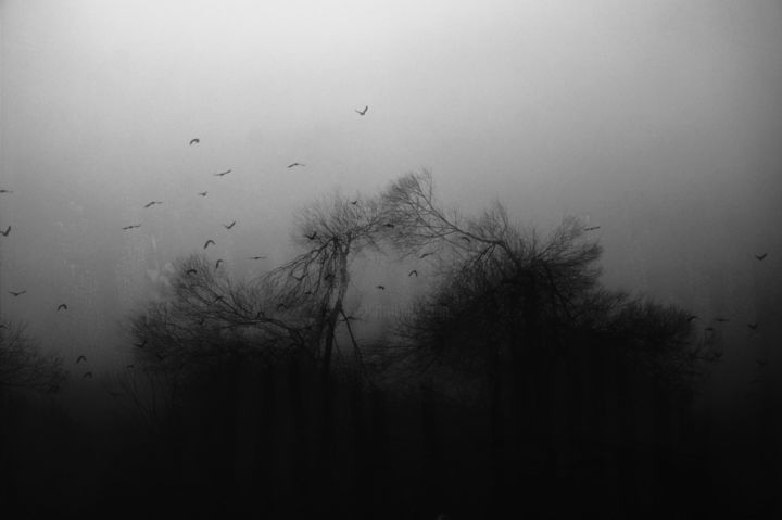 Φωτογραφία με τίτλο "nature" από Angeliki Alexiou, Αυθεντικά έργα τέχνης,