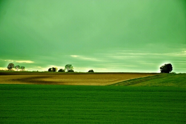 Photography titled "Verde Toscano" by Angelo Mazzoleni, Original Artwork