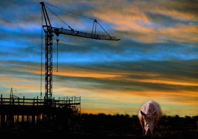 Fotografia intitolato "la natura e l'uomo" da Angelo Mazzoleni, Opera d'arte originale