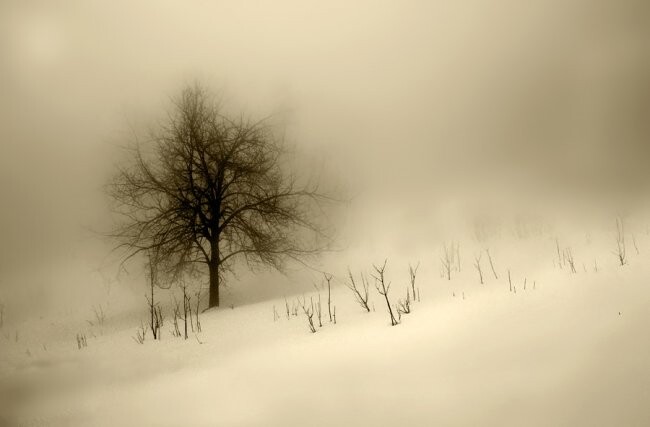 Fotografia intitolato "Oltre la nebbia" da Angelo Mazzoleni, Opera d'arte originale