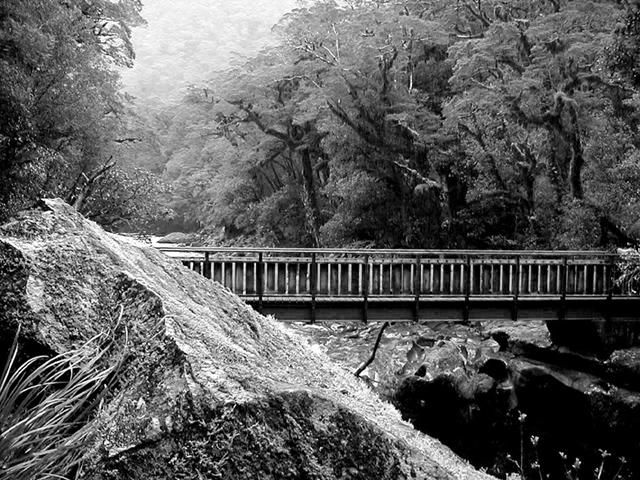 Photography titled "Bridge - New Zealand" by Angelo Di Pietrantonio, Original Artwork