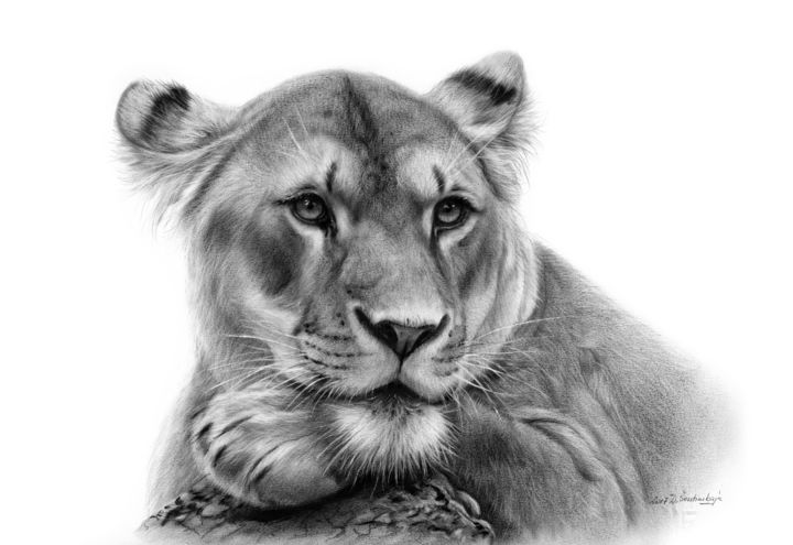 Картина под названием "Lioness" - Danguole Serstinskaja, Подлинное произведение искусства, Масло