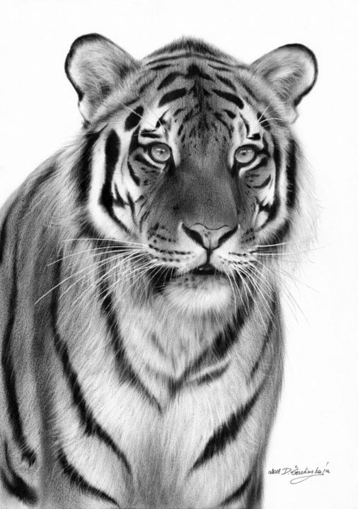 Pintura titulada "Tiger" por Danguole Serstinskaja, Obra de arte original, Oleo