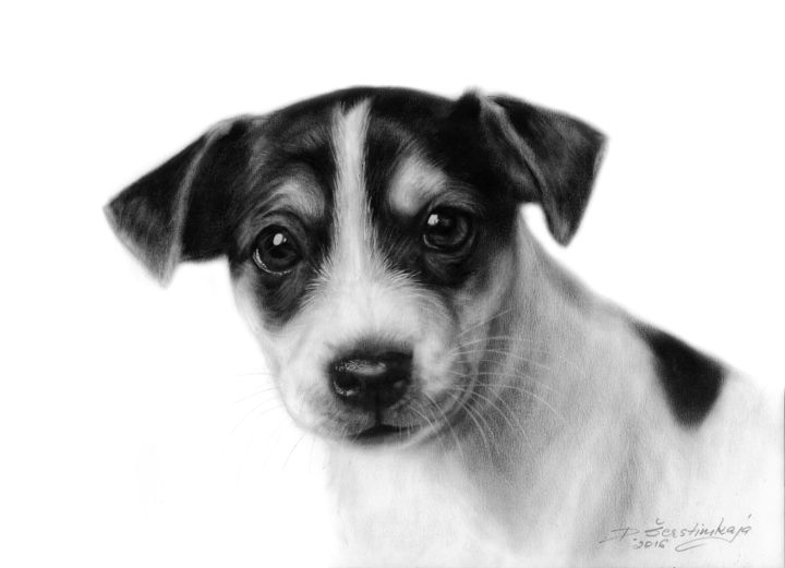 Painting titled "Jack Russel Terrier" by Danguole Serstinskaja, Original Artwork, Oil