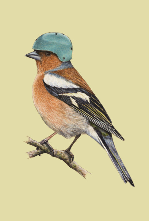 Drawing titled "Chaffinch" by Mikhail Vedernikov, Original Artwork, Pastel