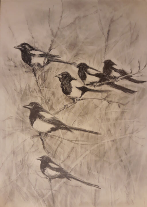 Dessin intitulée "A Flock of Magpies…" par Animesh Roy, Œuvre d'art originale, Fusain