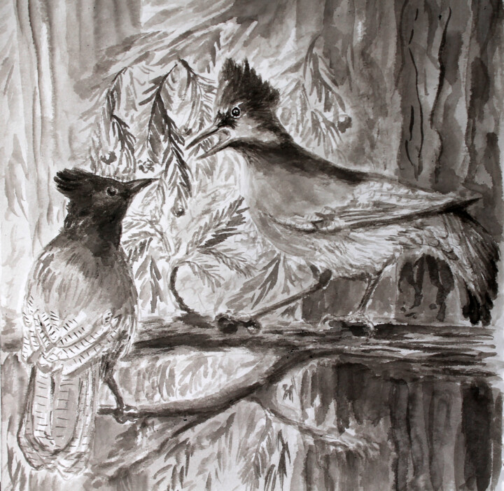 Картина под названием "Steller's Jays" - Anna Zorina, Подлинное произведение искусства, Чернила