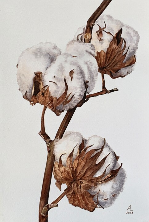 Schilderij getiteld "Cotton" door Anna Levchuk, Origineel Kunstwerk, Aquarel