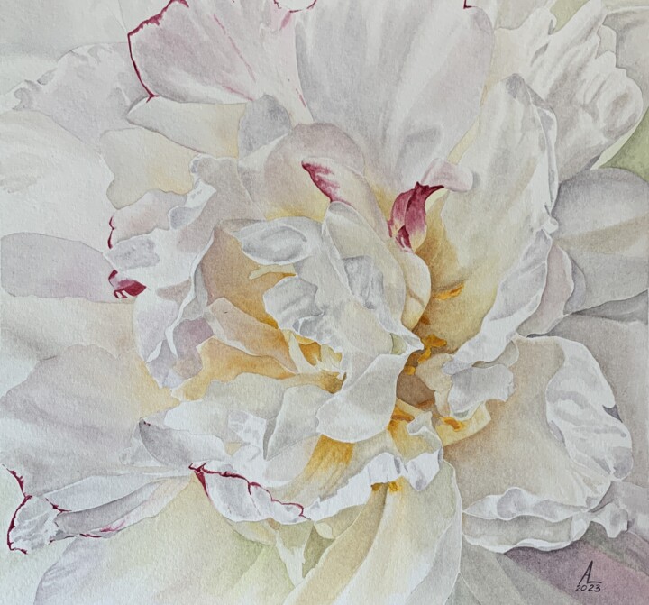 Schilderij getiteld "White peony" door Anna Levchuk, Origineel Kunstwerk, Aquarel