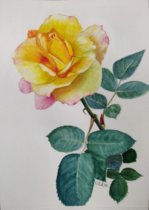 Ζωγραφική με τίτλο "Rose Gloria" από Анна Малышко, Αυθεντικά έργα τέχνης, Ακουαρέλα