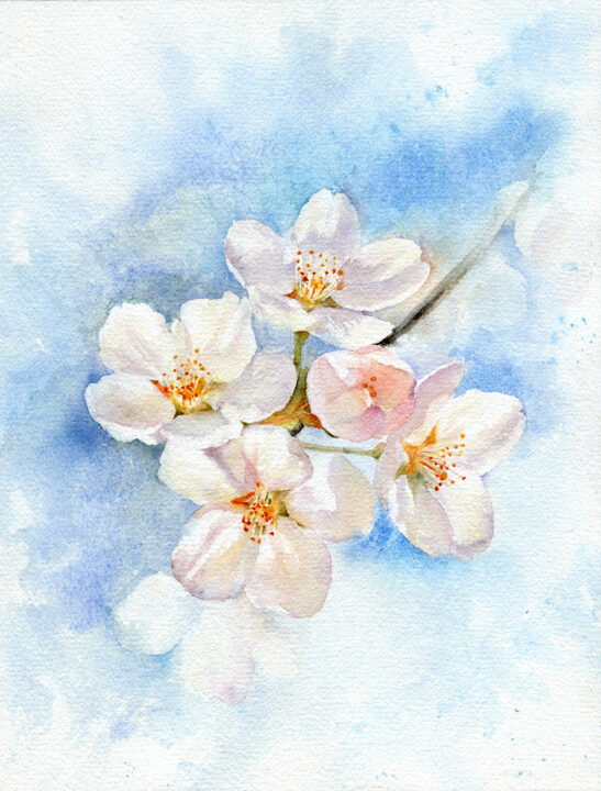 Картина под названием "Spring Blossom" - Anna Samoilichenko, Подлинное произведение искусства, Акварель