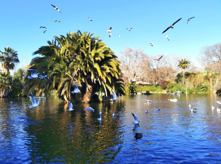 Fotografie getiteld "Parc de la Ciutadel…" door Anna Sun, Origineel Kunstwerk, Digitale fotografie