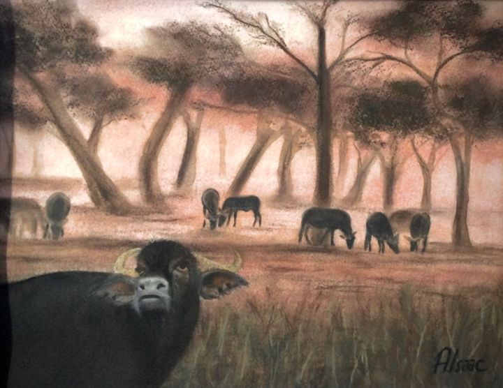Painting titled "Cape buffalos" by Anna Isaac, Original Artwork, Pastel