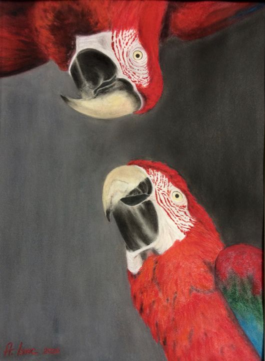 Painting titled "Scarlet macaw" by Anna Isaac, Original Artwork, Pastel