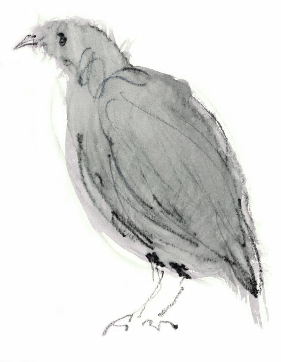 绘画 标题为“Bird 02” 由Annabel Andrews, 原创艺术品, 水粉