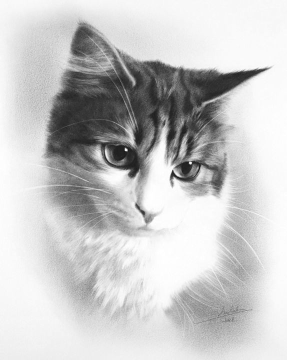 Ζωγραφική με τίτλο "Portrait de chat" από Anna Cholak - Portraits, Αυθεντικά έργα τέχνης, Λάδι