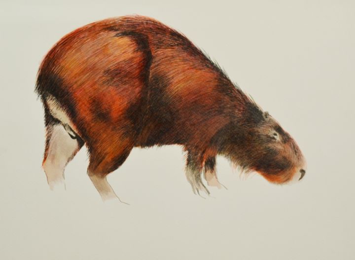 Capivara Artista