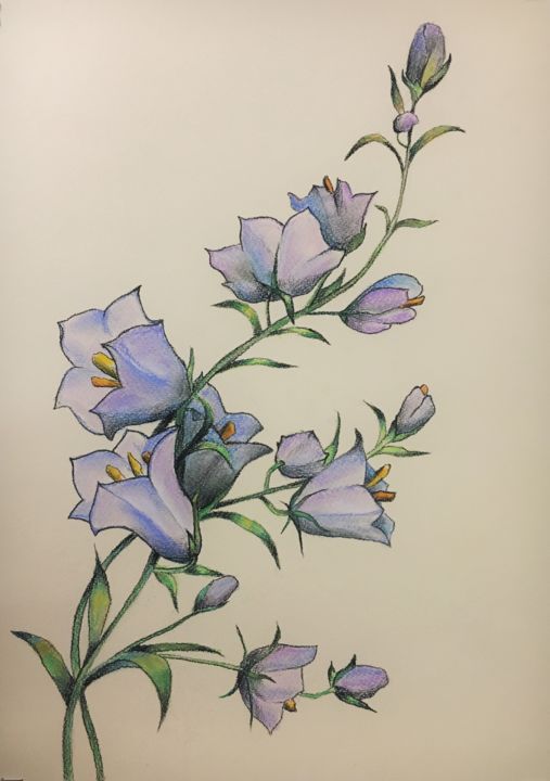 Painting titled "Blue Bell Flowers" by Hanna Taranishyna, Original Artwork, Pastel