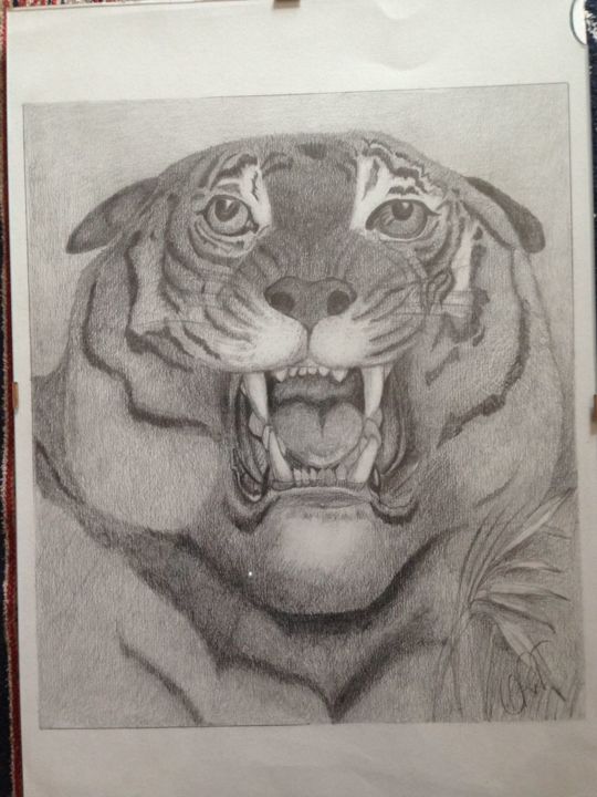 Drawing titled "tigre.jpeg" by Annarita Tortorella, Original Artwork
