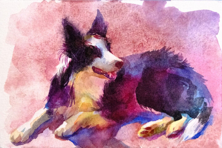 Painting titled ""Border Collie" - O…" by Anna Ivanova, Original Artwork, Watercolor
