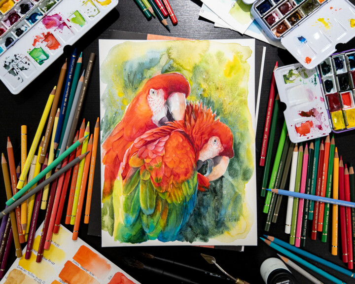 Faber-Castell Watercolor Paint by Number Tropical