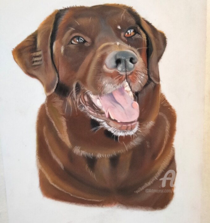 Desenho intitulada "Labrador" por Anne Degremont, Obras de arte originais, Pastel