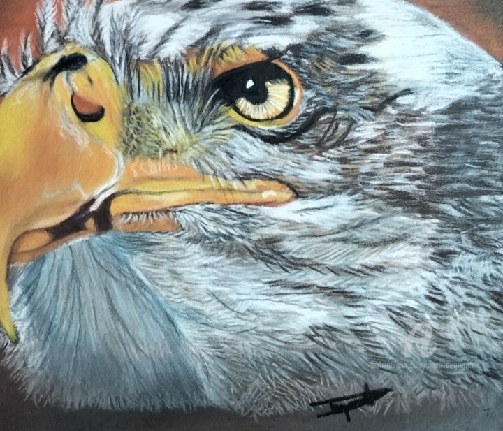 Dessin intitulée "Eagle" par Anne Degremont, Œuvre d'art originale, Pastel