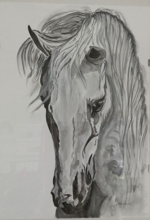 Painting titled "Tête de Cheval arabe" by Anne Fortoul, Original Artwork, Watercolor