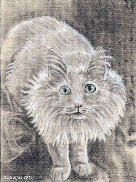 Drawing titled "Curiosité !" by Anne-Lise Surjus, Original Artwork, Pastel