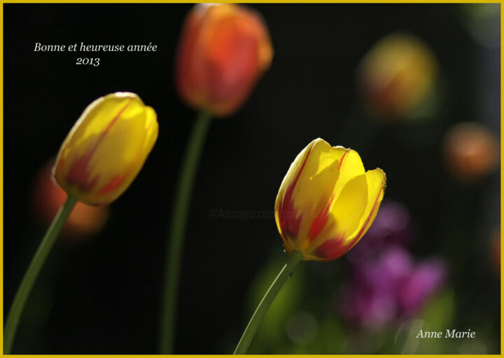 Digital Arts titled "Les tulipes de Laur…" by Anne Marie Mazzocchi, Original Artwork, Other