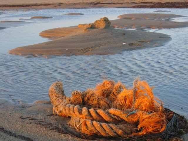 Fotografía titulada "orange" por Anne Sarda, Obra de arte original