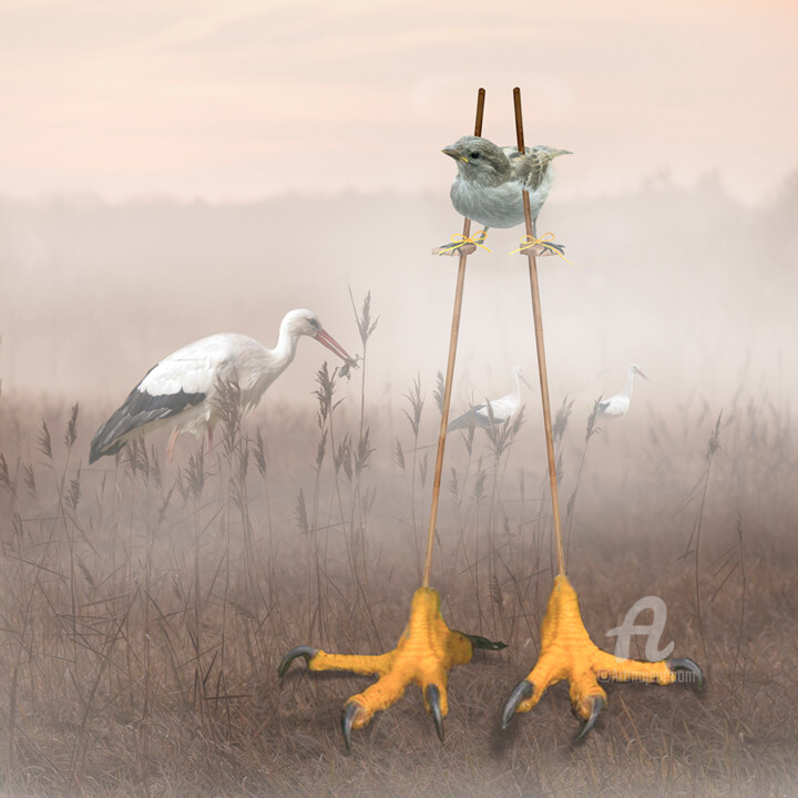 Digitale Kunst mit dem Titel "De Grootste Vogel" von Anneke Bloema, Original-Kunstwerk, Fotomontage