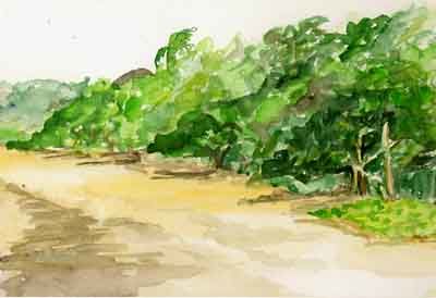 Картина под названием "plage à Mayotte" - Anne Paul, Подлинное произведение искусства