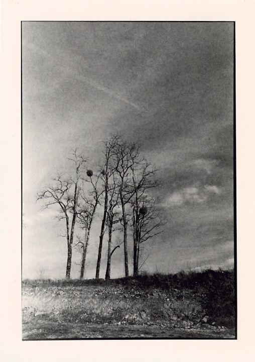 Photography titled "«Carrière» exlusive…" by Annette Van Casteren, Original Artwork, Analog photography