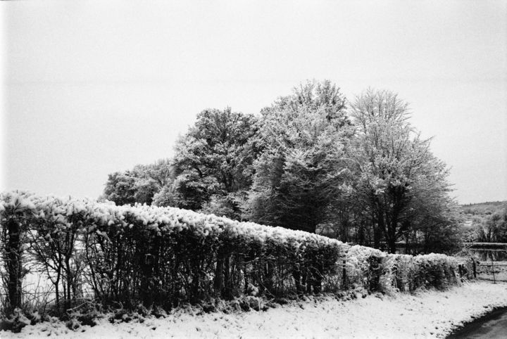 Fotografie getiteld "Snow trees" door Annette Van Casteren, Origineel Kunstwerk, Film fotografie