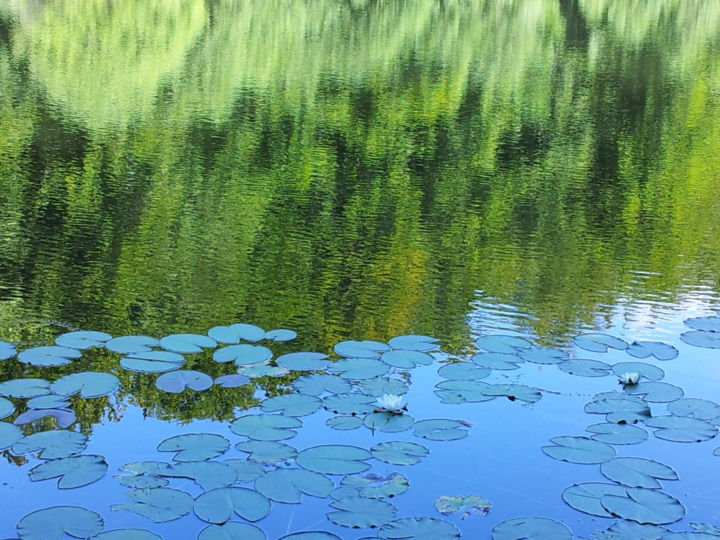 Photographie intitulée "Rêverie - Annick Bo…" par Annick Bouhan, Œuvre d'art originale